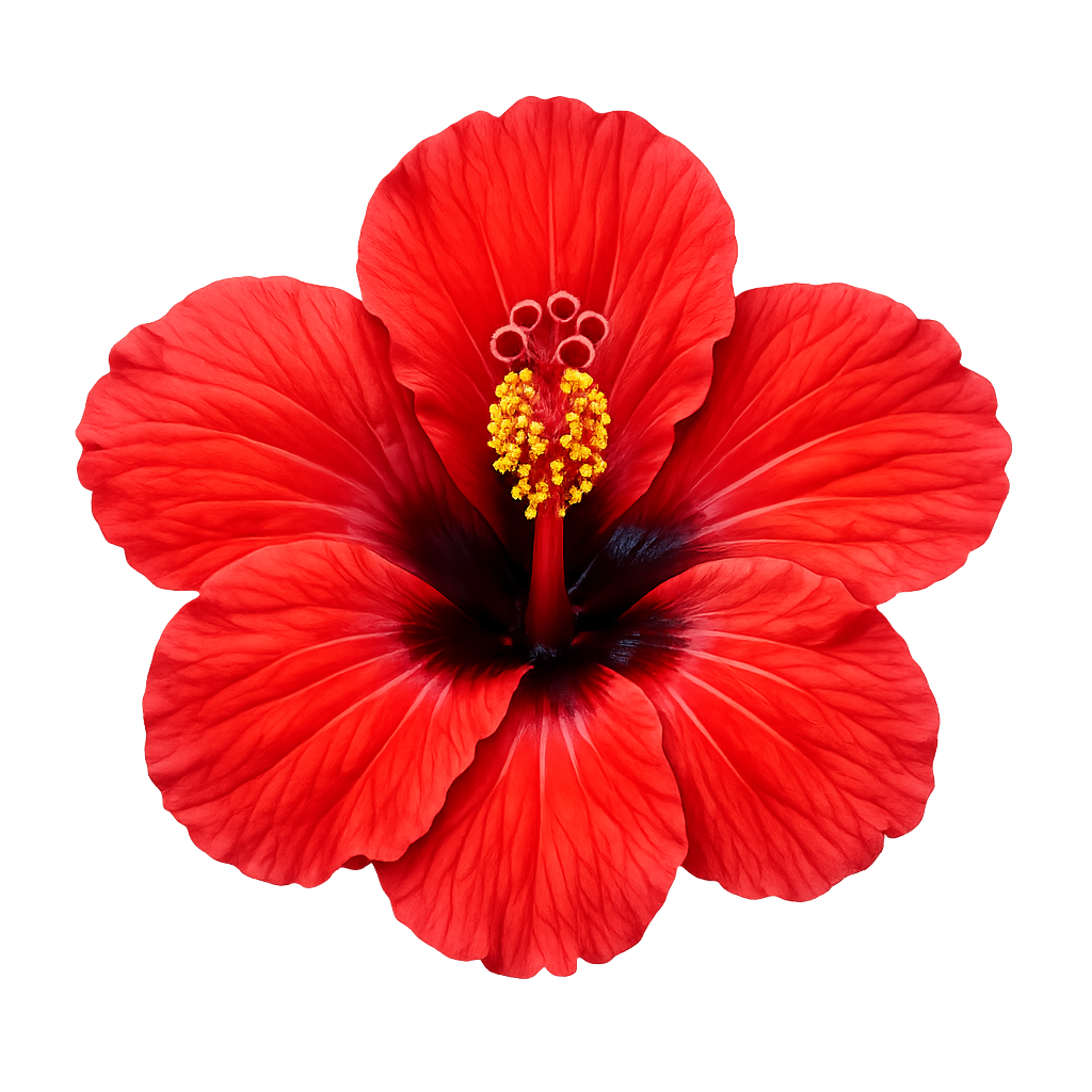 Flor Viajera
